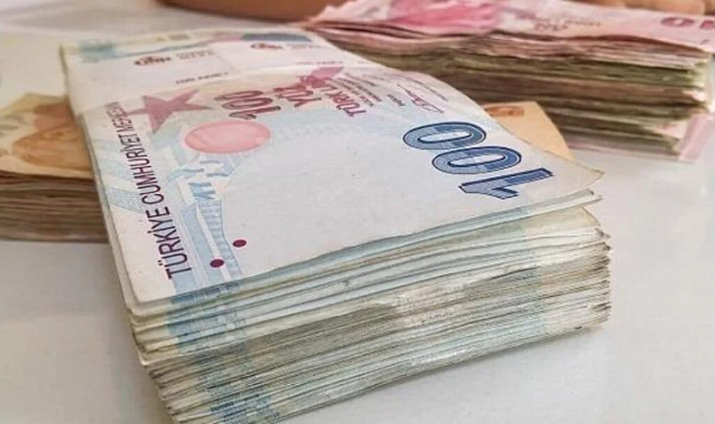 Devlet hibe desteği ne kadar oldu?  KOOPDES hibe desteği kaç TL?