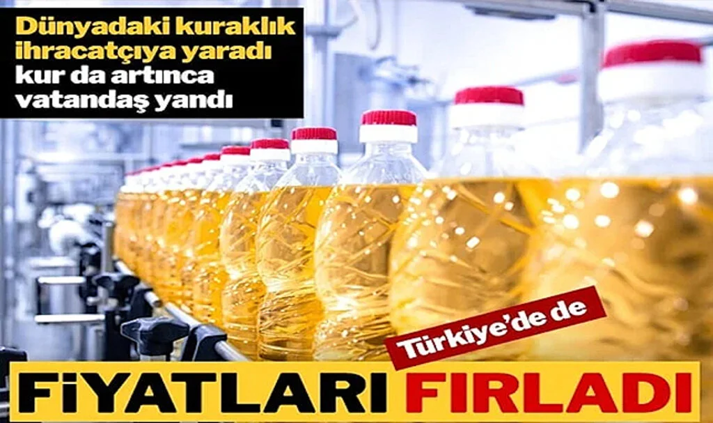 Dünyada Kuraklığın Vurduğu Zeytinyağı Fiyatları Türkiye’de Neden Arttı?