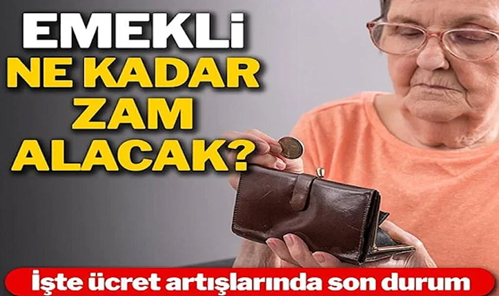 Emekli Umduğunu Bulamadı