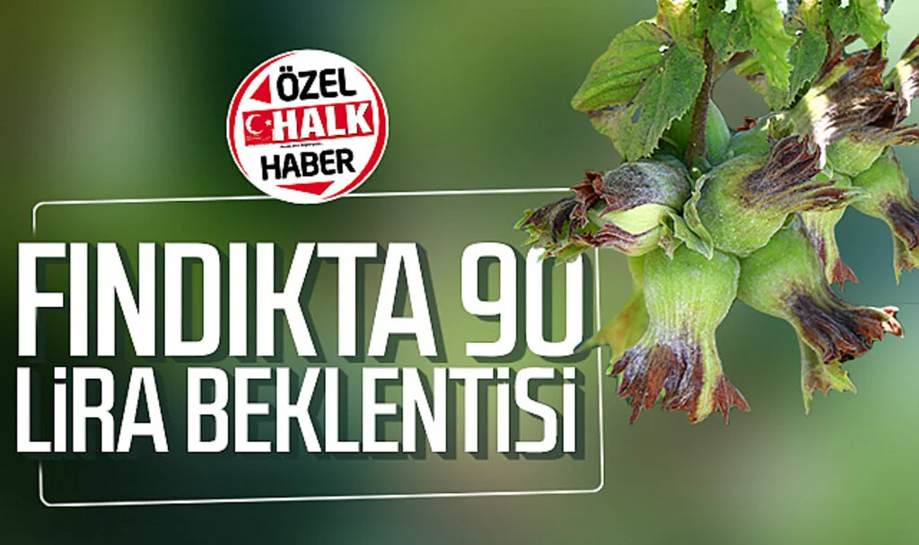 Fındıkta 90 lira beklentisi 