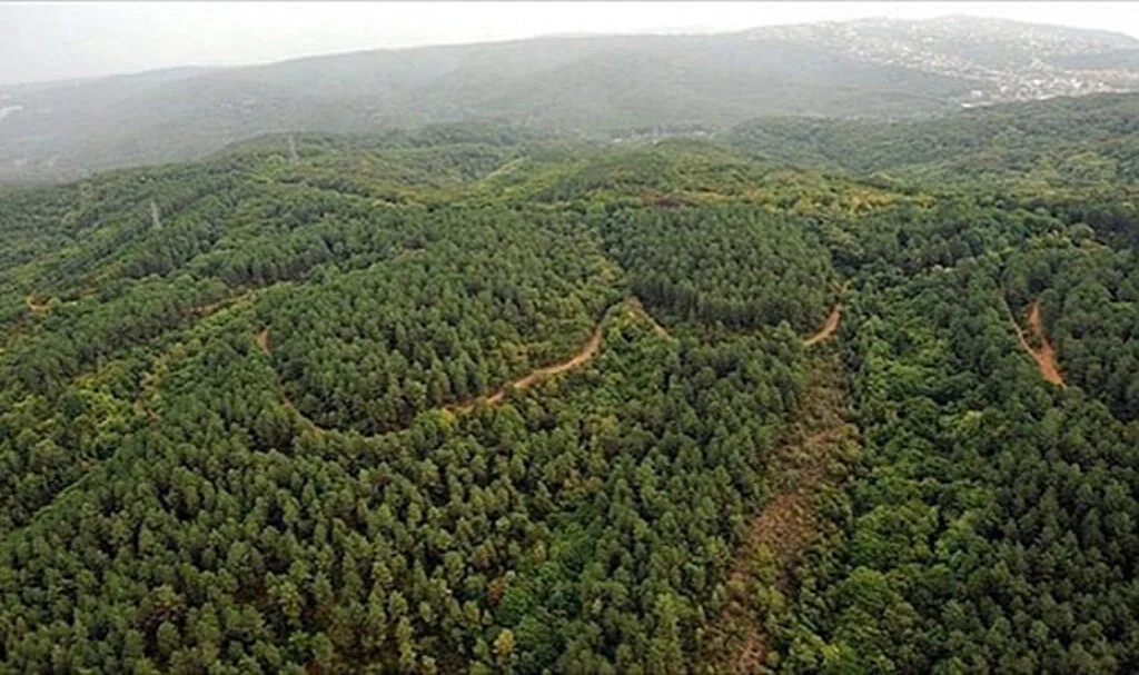 İçişleri Bakanlığı’ndan Yeni Genelge! 31 Ekim’e Kadar Yasaklandı