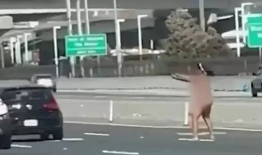 Korku Dolu Anlar! Çırılçıplak Elinde Silahla Otoyola Fırladı... Arabalara Bir Anda Ateş Etmeye Başladı