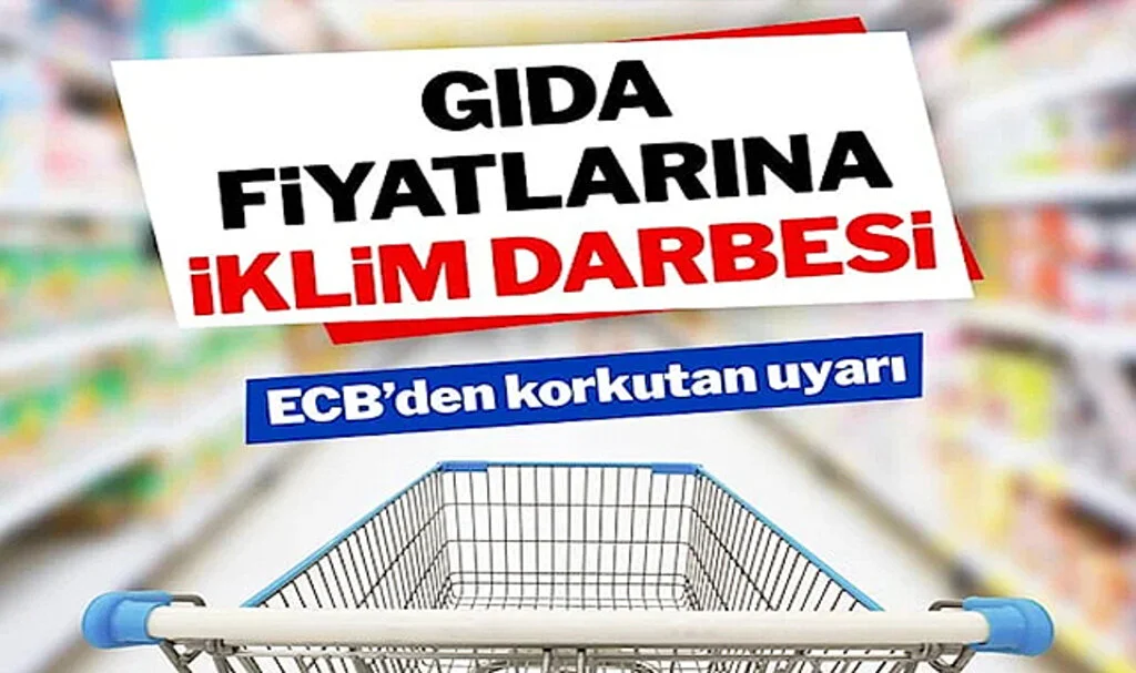 Küresel Isınma Gıda Enflasyonunu Her Yıl Yüzde 3 Artırabilir
