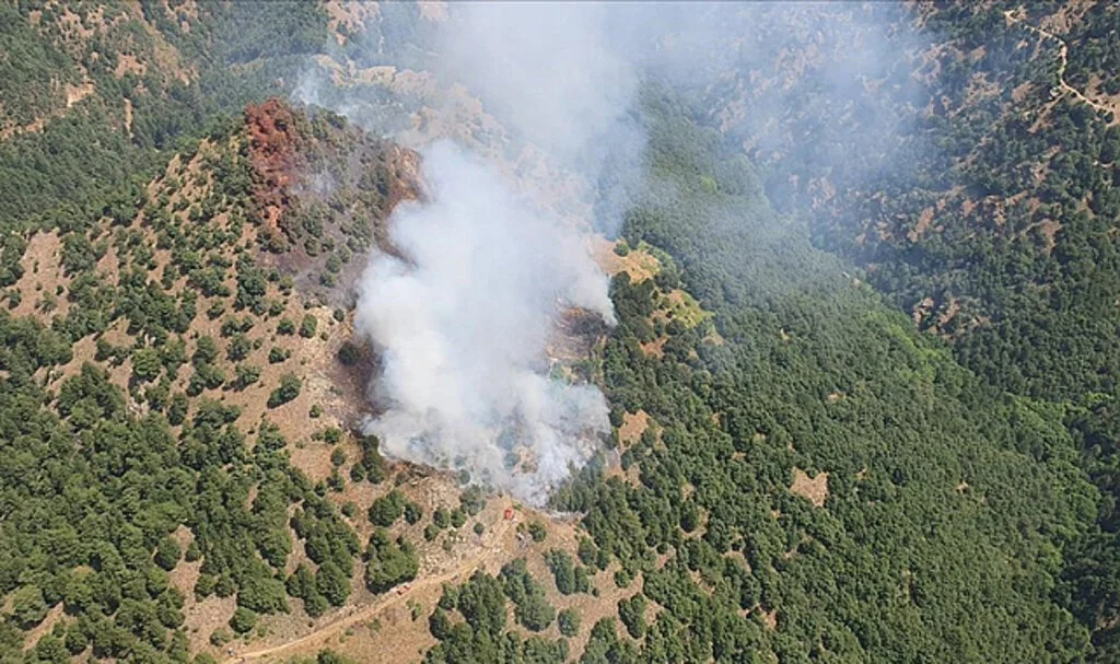 Manisa'nın Alaşehir İlçesinde Orman Yangını Çıktı