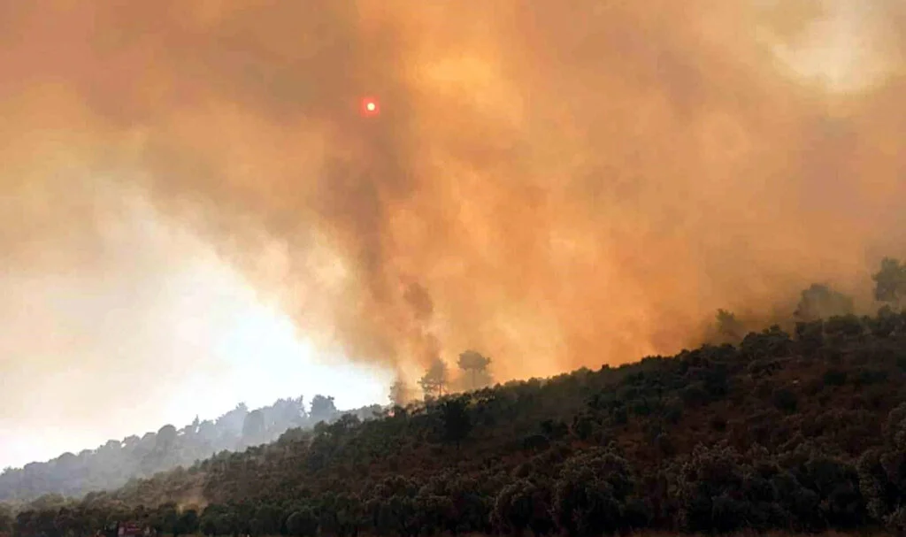 Milas-Bodrum Karayolu Havalimanı Kavşağında Çıkan Orman Yangınının Faili Yakalandı