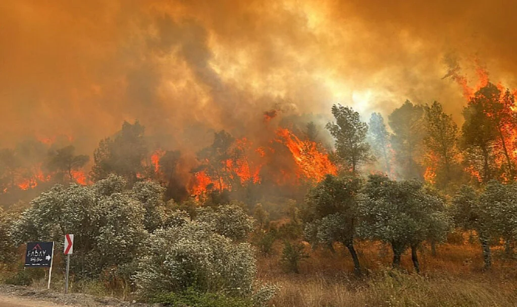 Milas’ta Makilik Alanda Başlayan Yangın Ormana Sıçradı