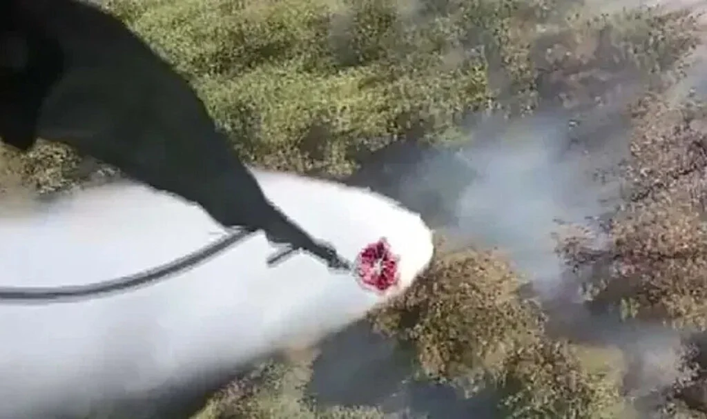 Muğla’da Orman Yangını: Ekipler Müdahale Ediyor
