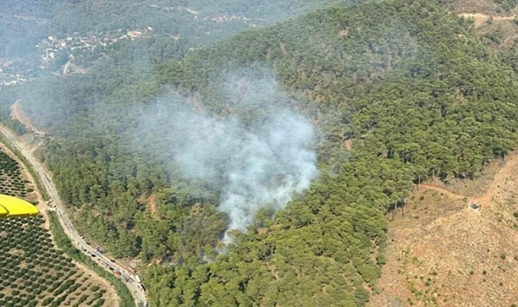 Muğla Ortaca’da Orman Yangını