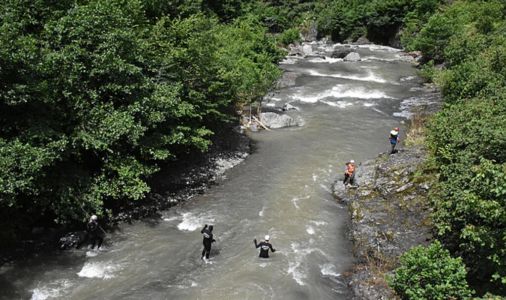 Ordu'da Kaybolan Kadını Arama Çalışmaları Sürüyor