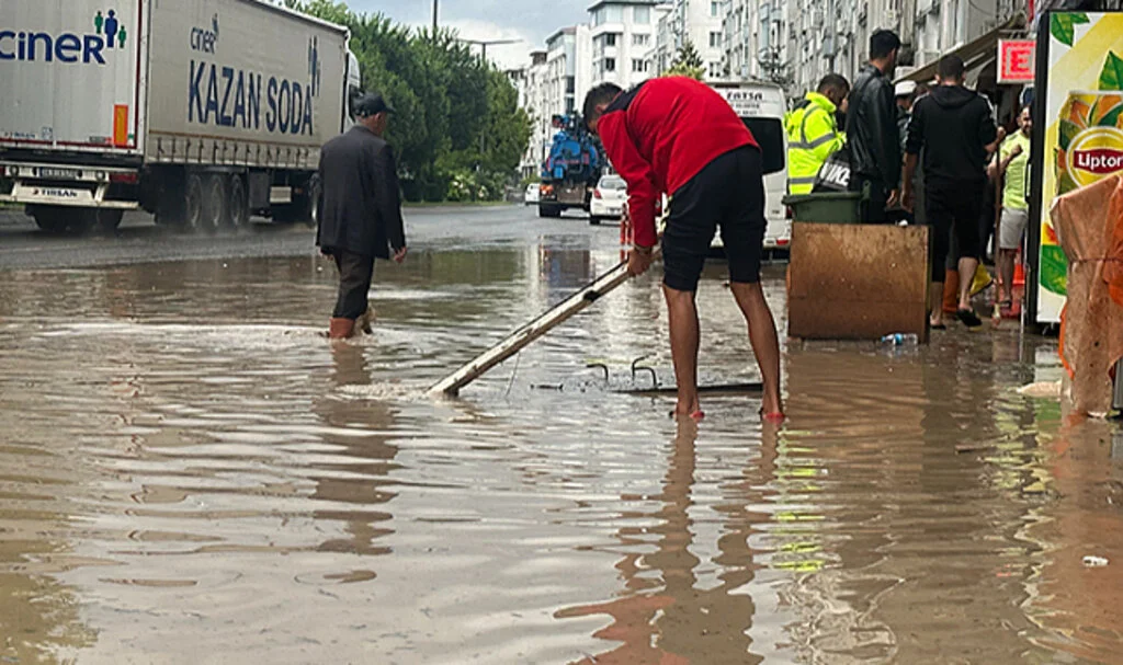Ordu Fatsa Sele Teslim