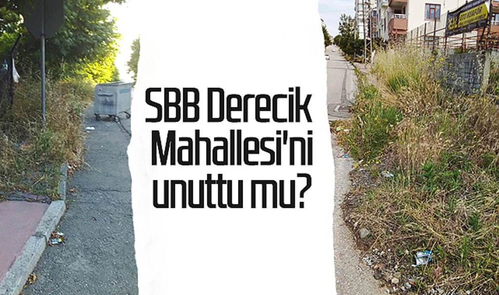 Samsun Büyükşehir Belediyesi Derecik Mahallesi'ni unuttu mu?