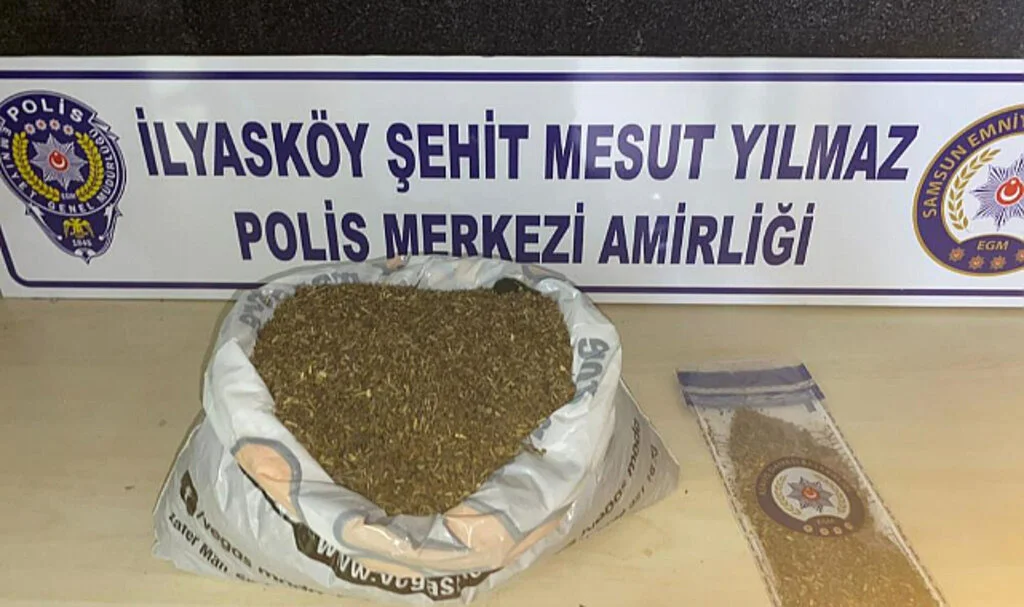 Samsun'da 1 Kilo 172 Gram Bonzai Ele Geçti: 1 Gözaltı