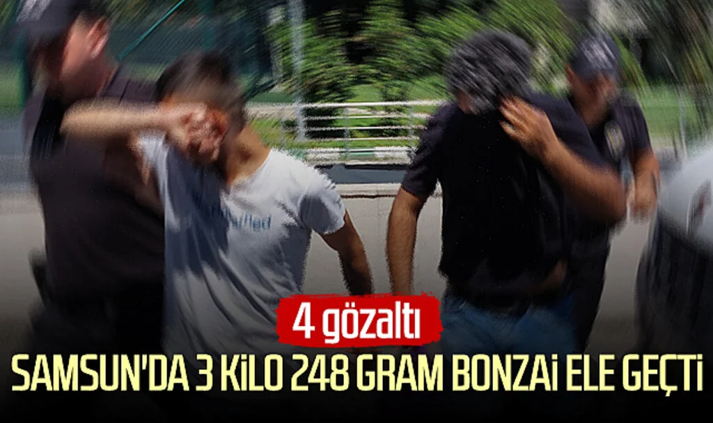 Samsun'da 3 kilo 248 gram bonzai ele geçti: 4 gözaltı