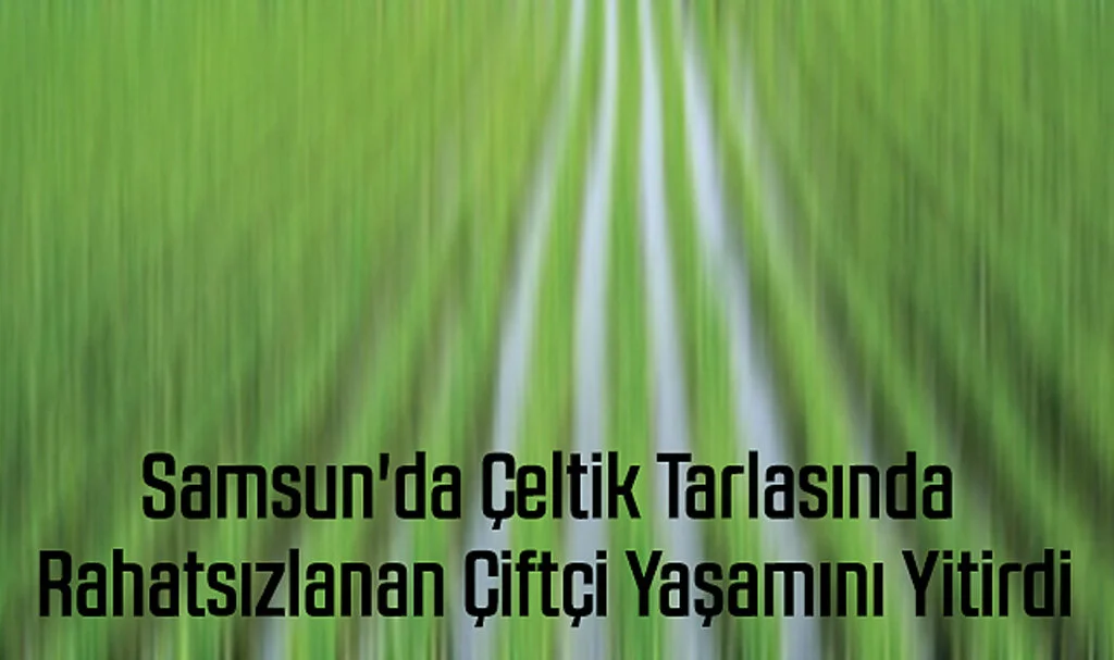 Samsun'da Çeltik Tarlasında Rahatsızlanan Çiftçi Yaşamını Yitirdi