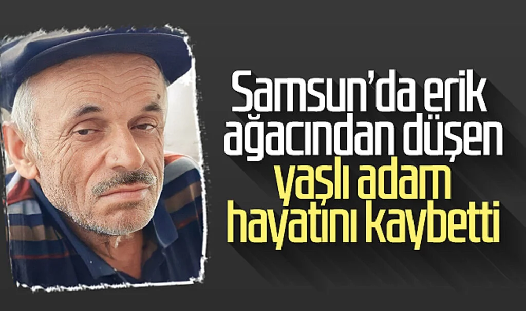 Samsun'da erik ağacından düşen yaşlı adam hayatını kaybetti