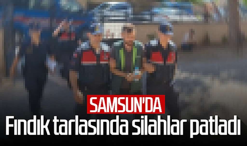 Samsun'da fındık tarlasında silahlar patladı