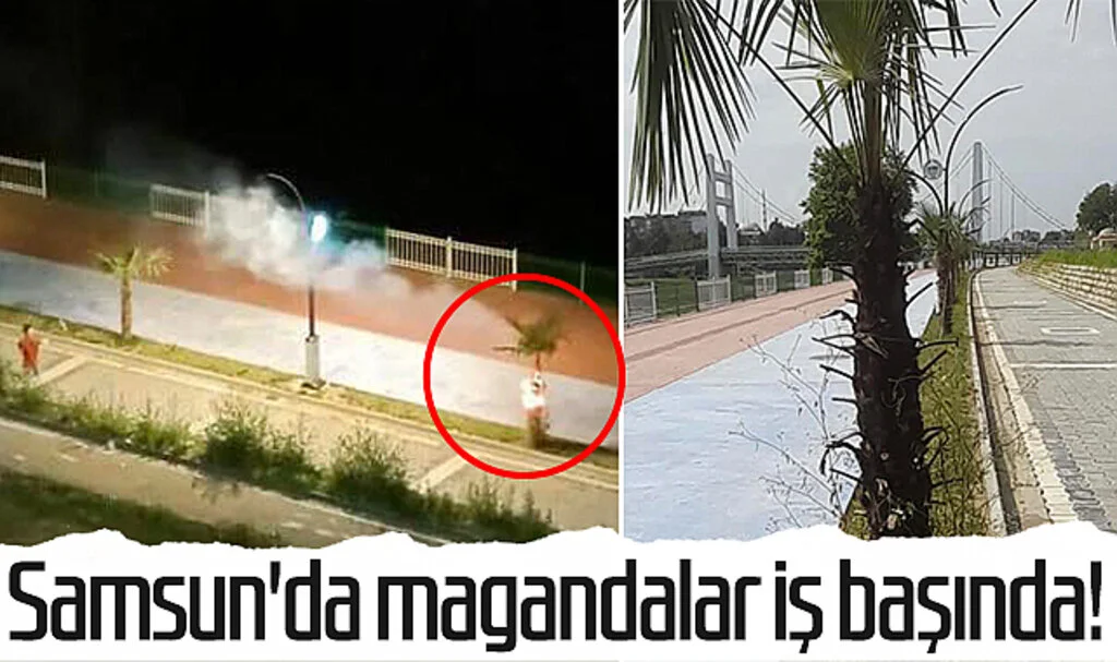 Samsun'da magandalar iş başında!