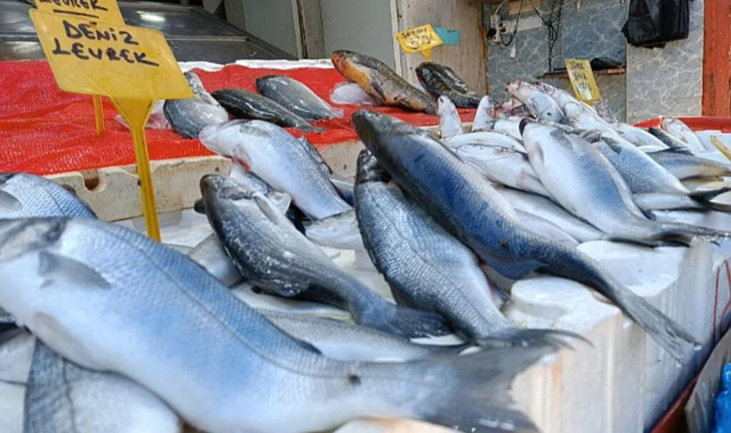 Samsun’da Sıcak Havada Balığa Rağbet Yok