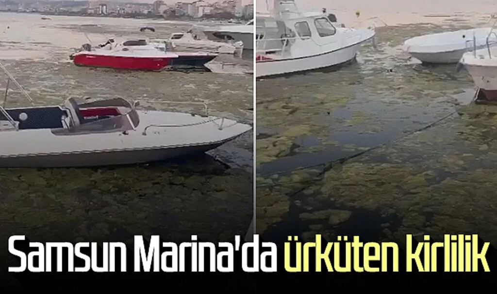 Samsun Marina'da ürküten kirlilik 