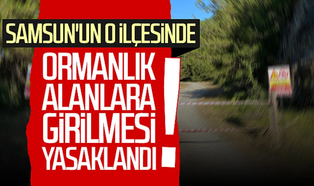 Samsun'un o ilçesinde ormanlık alanlara girilmesi yasaklandı