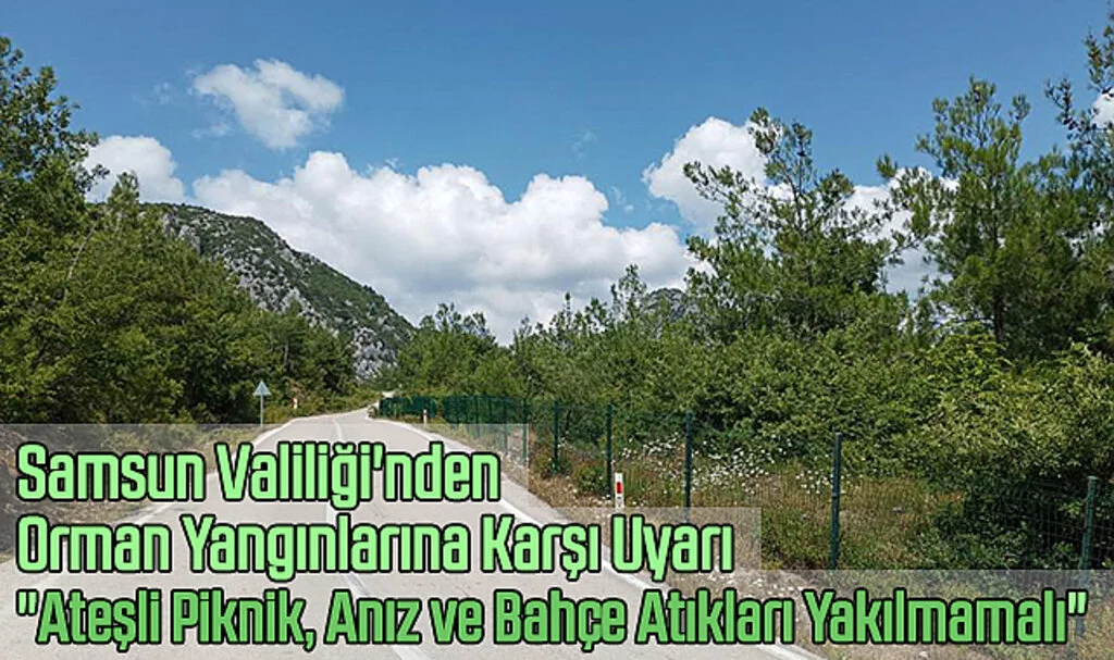 Samsun Valiliği'nden Orman Yangınlarına Karşı Uyarı:" Ateşli Piknik, Anız ve Bahçe Atıkları Yakılmamalı"