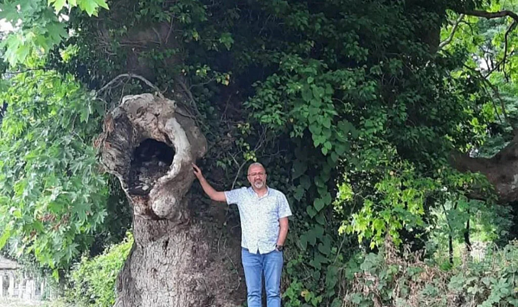 Tarihçi sosyolog Emin Günaydın'dan Samsun'da Asırlık Çınarların Koruma Altına Alınması Talebi