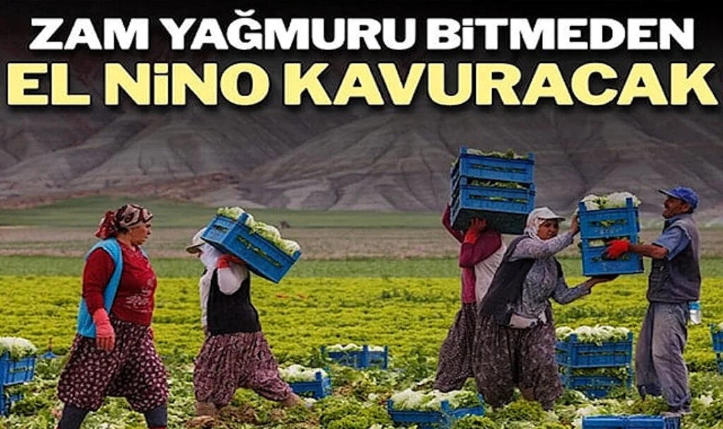 Tarım Ürünleri Rekoltesi ve Gıda Fiyatlarında El Nino Tehdidi