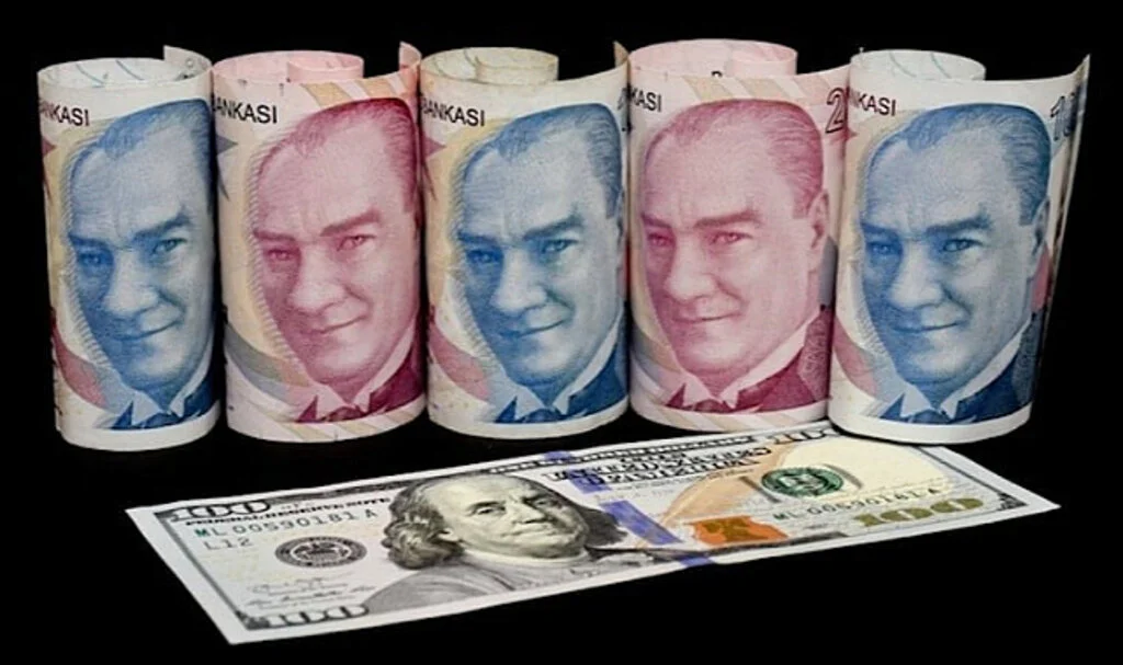 Türk Kamu Bankaları Döviz Satışına Yeniden Başladı