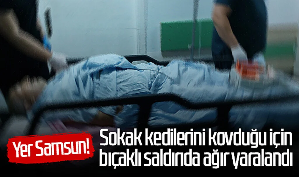 Yer Samsun! Sokak kedilerini kovduğu için bıçaklı saldırıda ağır yaralandı