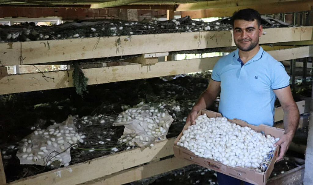 20 Metrekare Alanda 40 Kilo Yetişiyor