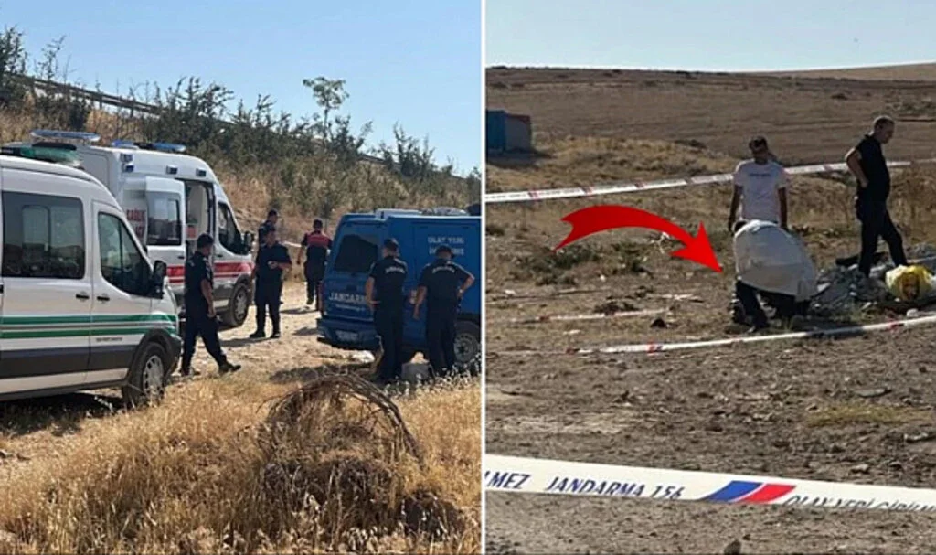 Boş Arazide Bulunan Poşetten Köpekler Tarafından Parçalanmış Bebek Cesedi Çıktı