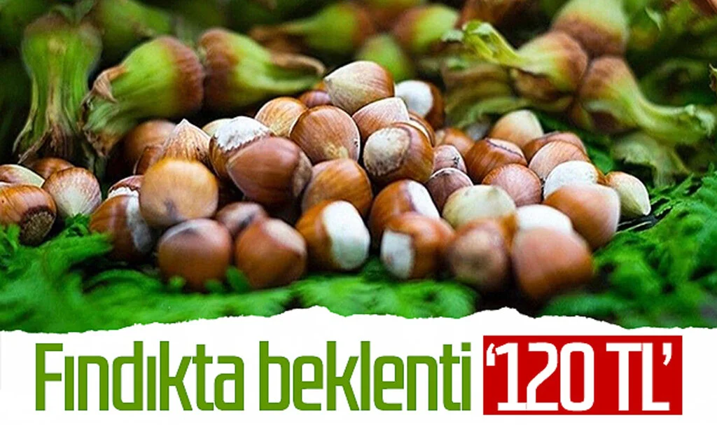 Çarşamba'da fındık fiyatında beklenti '120 TL'