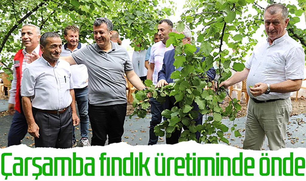 Çarşamba fındık üretiminde önde 