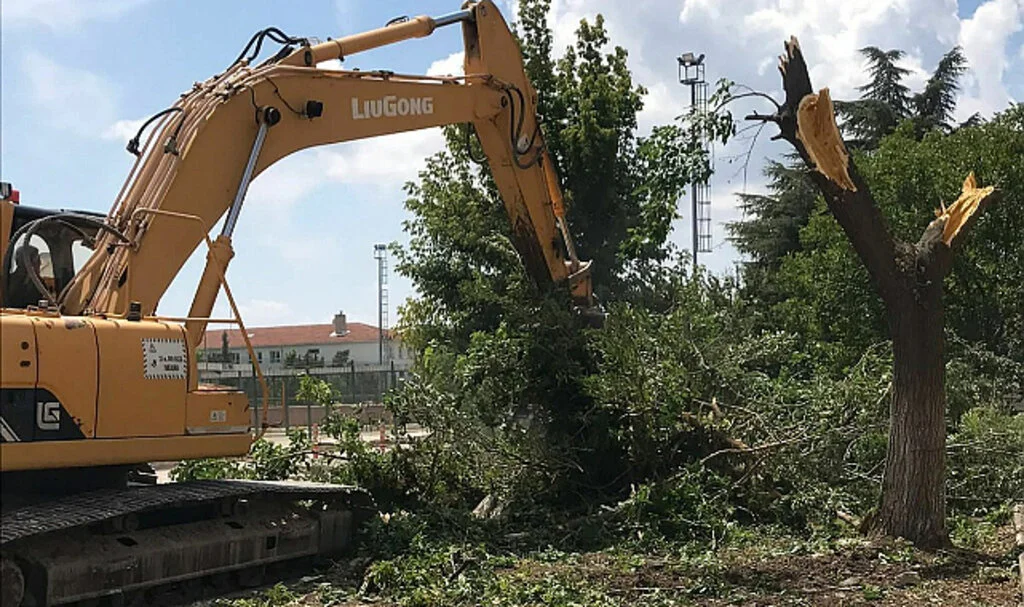 Edirne’de Çok Sayıda Ağaç Kesildi
