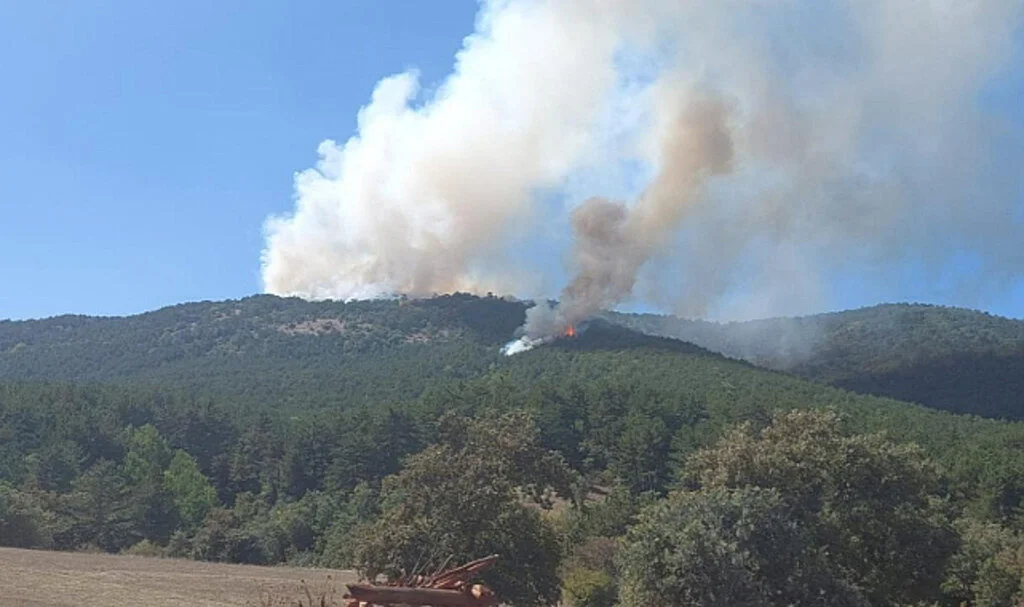 Eskişehir’de Orman Yangını