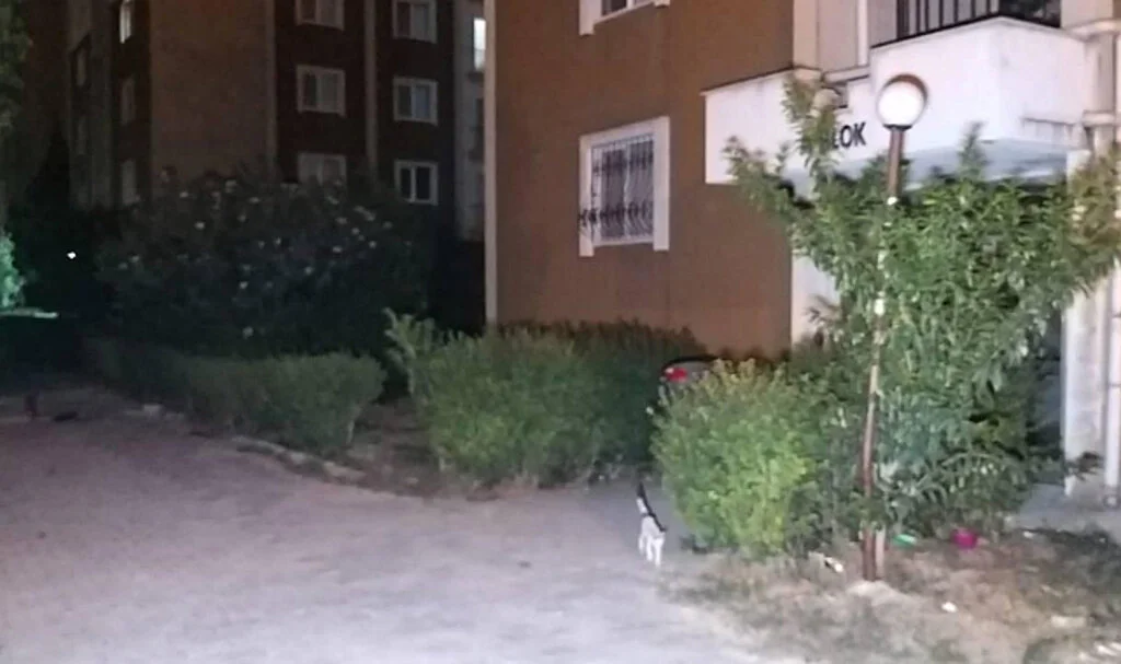 Ev Sahibi-Kiracı Kavgasında 3 Kişi Yaralandı