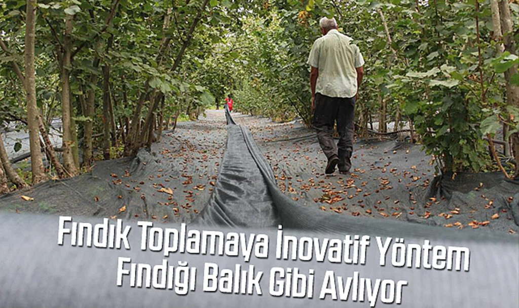Fındık Toplamaya İnovatif Yöntem: Fındığı Balık Gibi Avlıyor
