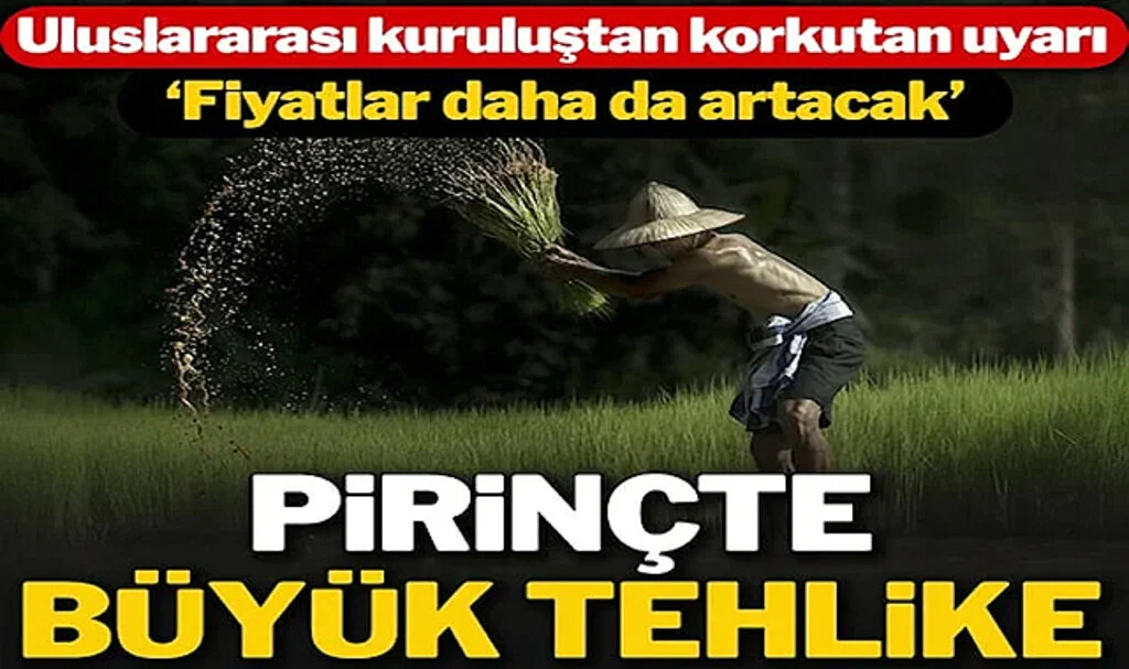 Fitch: Pirinç Fiyatları Daha da Yükselebilir