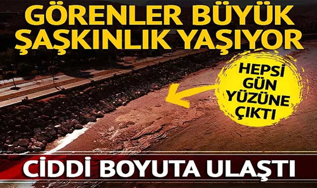 Görenler Büyük Şaşkınlık Yaşıyor! Ciddi Boyuta Ulaştı... Hepsi Gün Yüzüne Çıktı