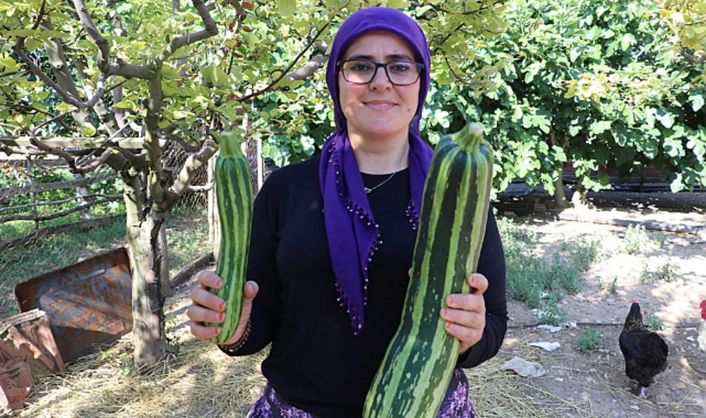 Görenleri Şaşkına Çeviren Kabak 