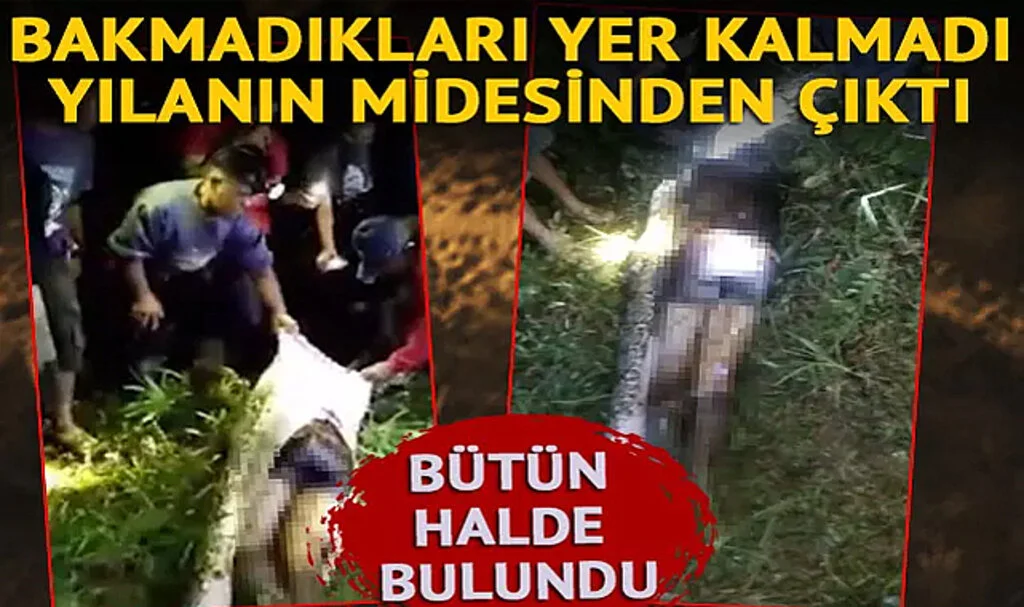 İşe gitmek için evinden çıktı bir daha kimse onu göremedi! Bütün halinde 7 metrelik yılanın midesinden çıktı