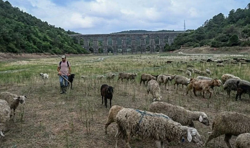 İstanbul’a Su Sağlayan 10 Barajın 6’sında Korkutan Oran