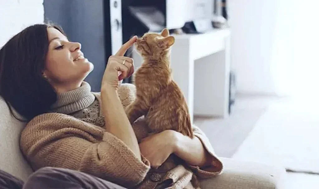 Kedi Sahipleriyle İlgili Çarpıcı Araştırma: Eşlerini...