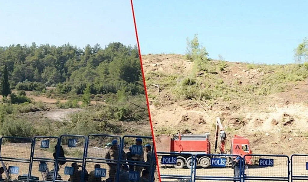 Kışla Dağı Ormanını Böyle Katlettiler