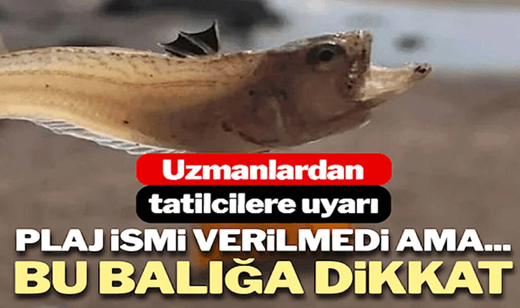 Korkutucu Uyarı: Sahilde Yürürken Bunlara Dikkat Edin