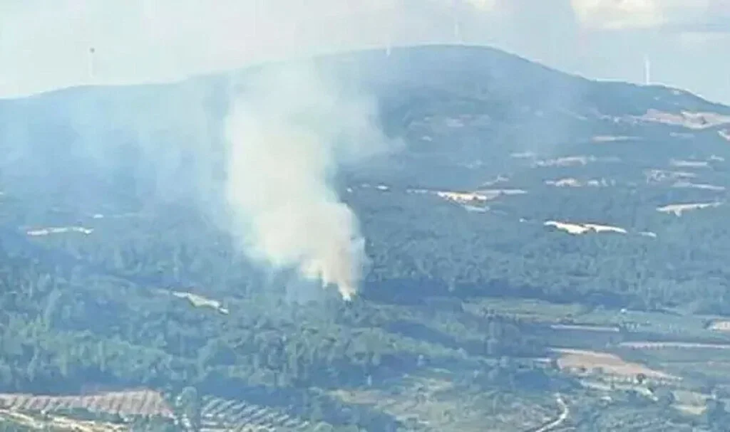 Manisa’da Orman Yangını
