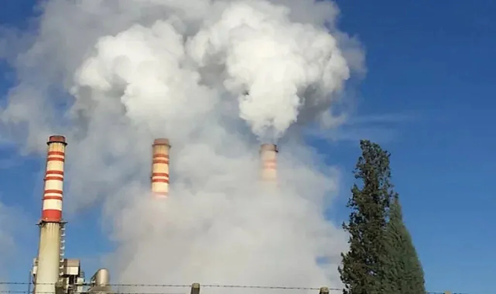MUÇEP’ten Termik Santral Kampanyası