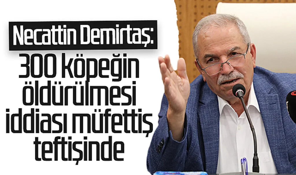 Necattin Demirtaş: 300 köpeğin öldürülmesi iddiası müfettiş teftişinde