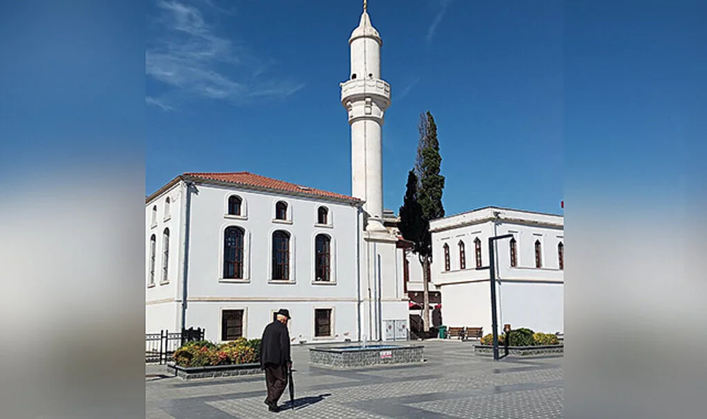 Plastik Hayat ‘Yalnız’ Yapıyor