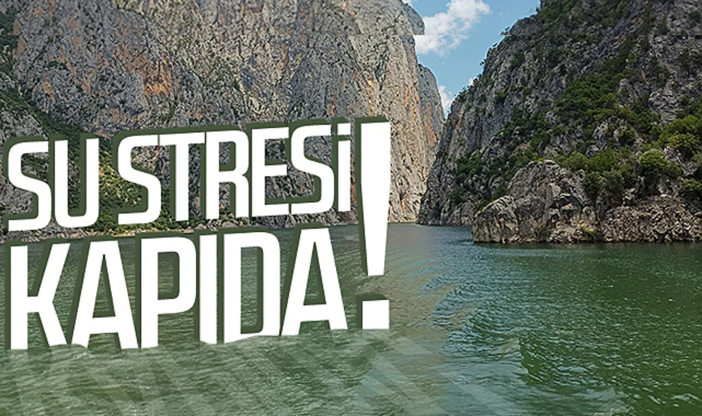 Prof. Dr. Yusuf Demir: Su Stresi Kapıda!